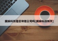 国脉科技是区块链公司吗[国脉科技如何]